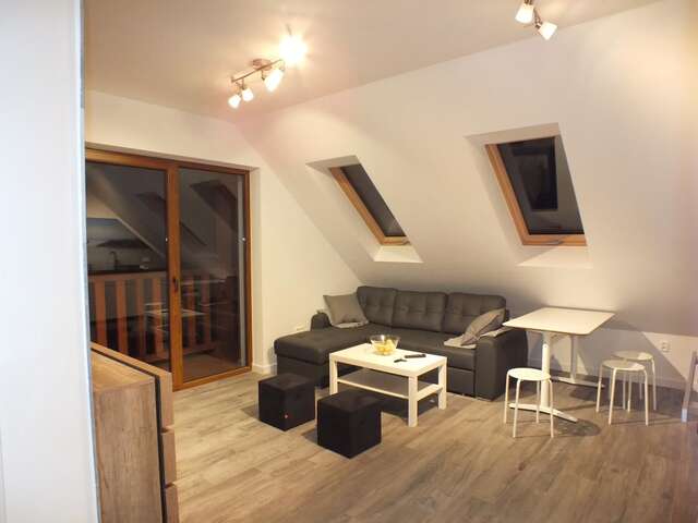 Апартаменты Apartament JBF Homole Шавница-10